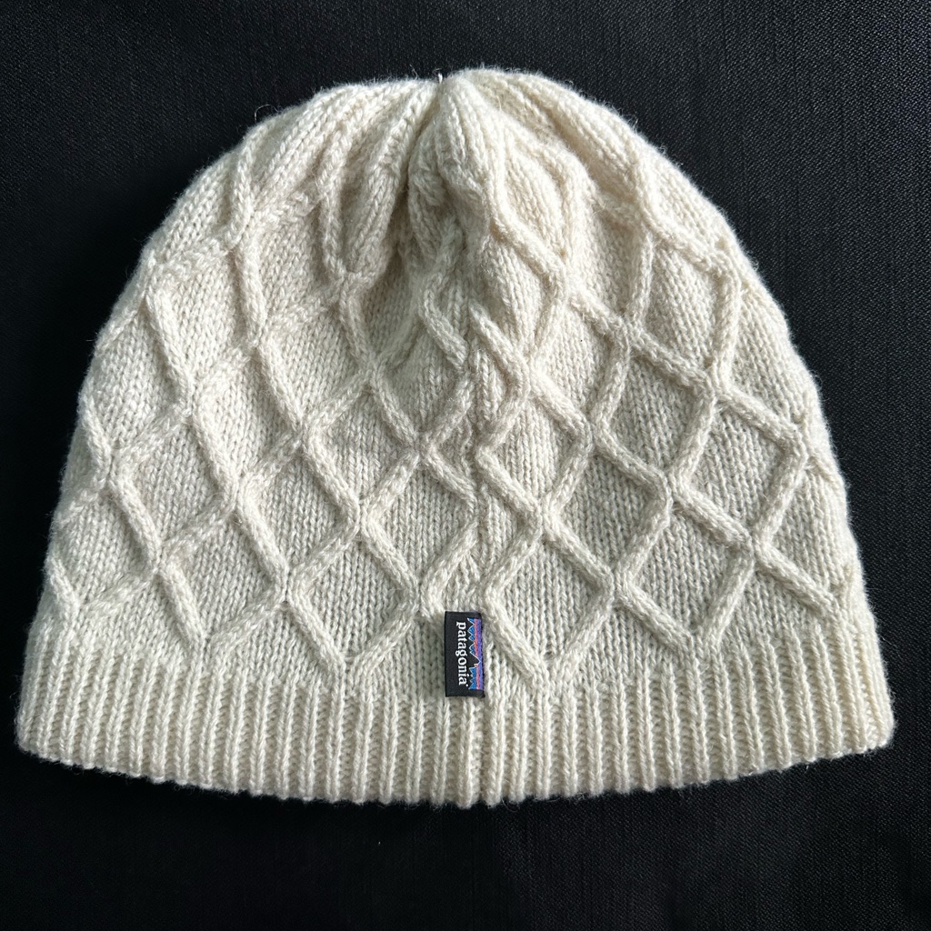 Patagonia Beanie